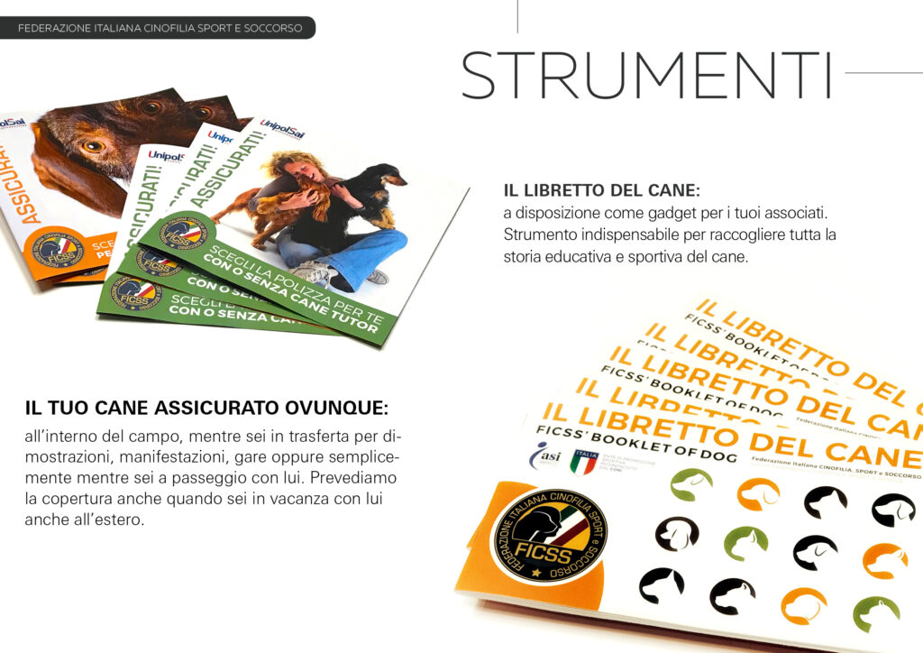 PRESENTAZIONE_FICSS_GENERALE_201913
